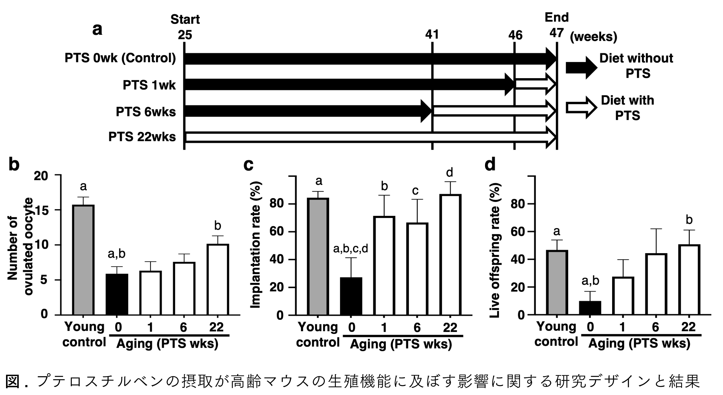Graphical Abstract プテロスチルベンは、副作用なしで高齢マウスの生殖成績と卵子の質を改善する