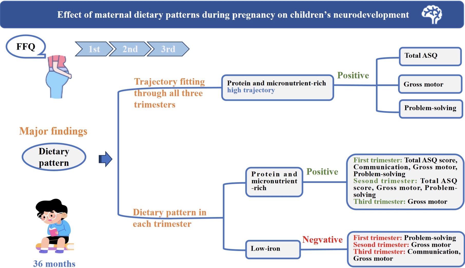 Graphical Abstract 妊娠中の食事パターンと子どもの神経発達との関連：中国国家出生コホート研究