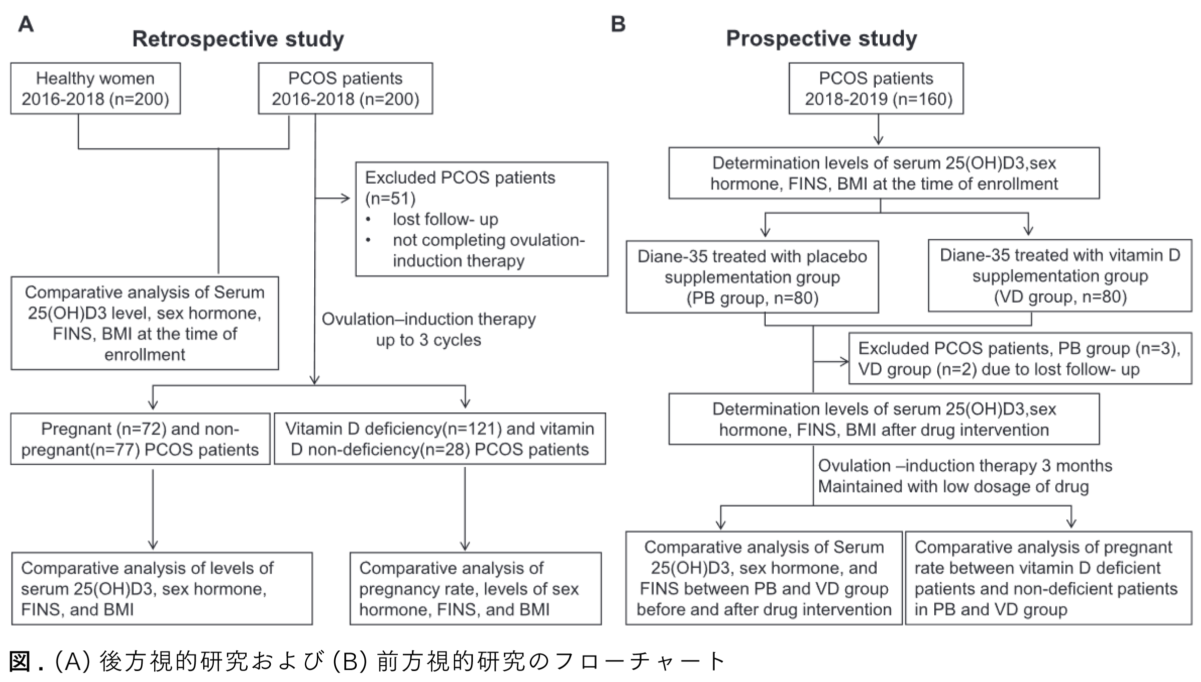 Graphical Abstract 多嚢胞性卵巣症候群女性におけるビタミンDの妊娠への影響：レトロスペクティブ研究とプロスペクティブ研究